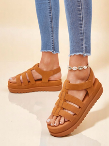 Camel [eng] || brown