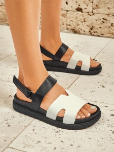 white || black