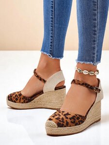 Camel [eng] || inny kolor