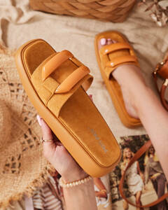 Camel [eng] || brown || light brown