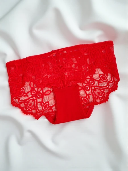 Women's Lace Briefs