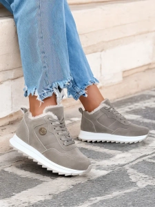 pigeon gray