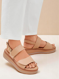 light brown || brown